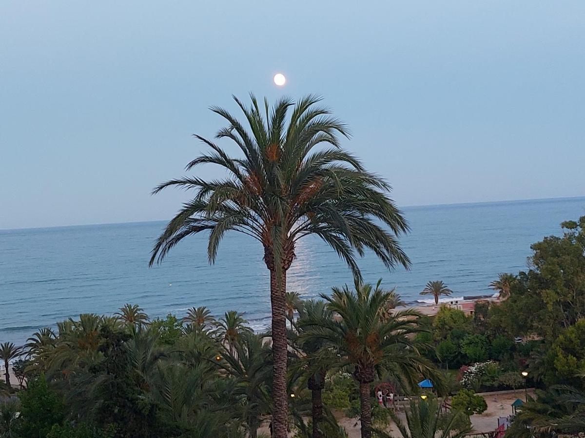 Barbara 20 Playa Muchavista Alicante El Campello Ngoại thất bức ảnh