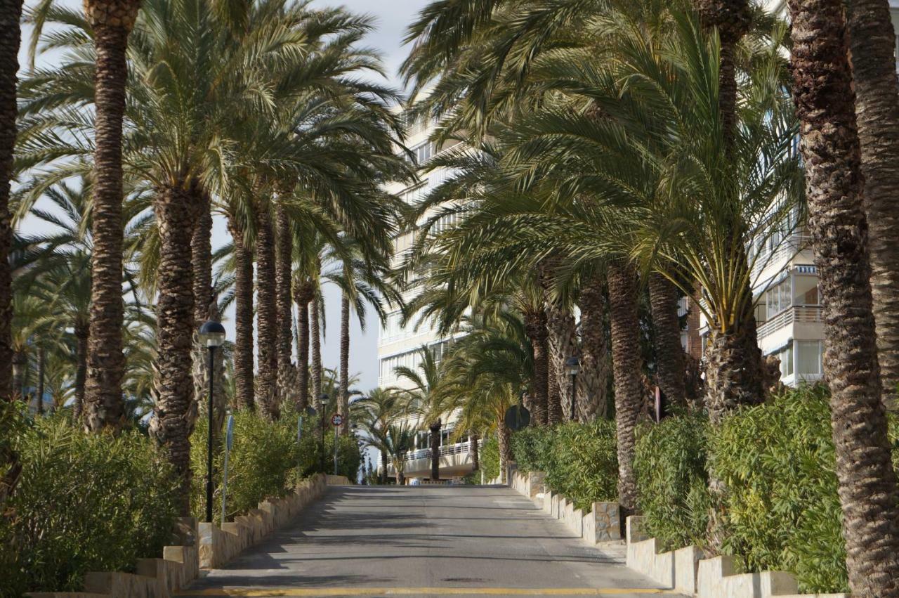 Barbara 20 Playa Muchavista Alicante El Campello Ngoại thất bức ảnh